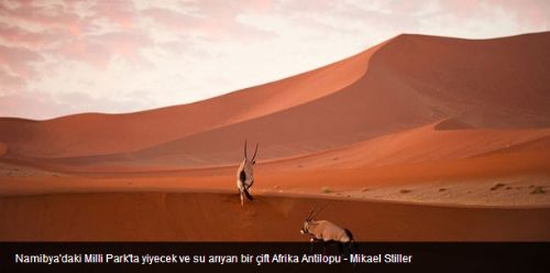 National Geographic 2012'nin en iyi 36 fotoğrafını seçti