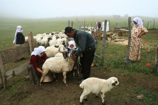 Dünyanın en iyi 30 fotoğrafı