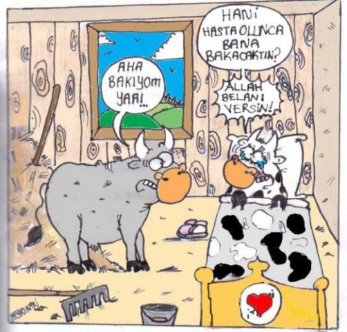 Kahkaha krizine sokan karikatürler