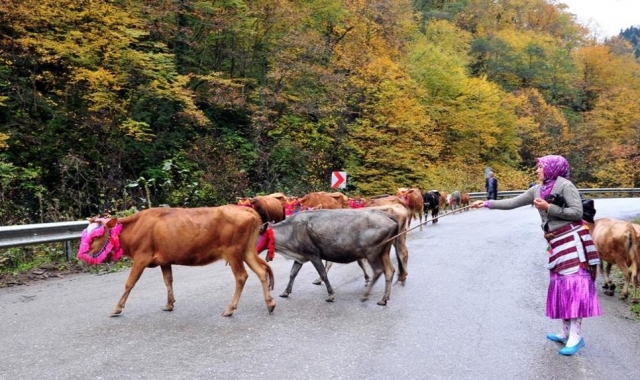 Son yaylacılar da göç yolunda