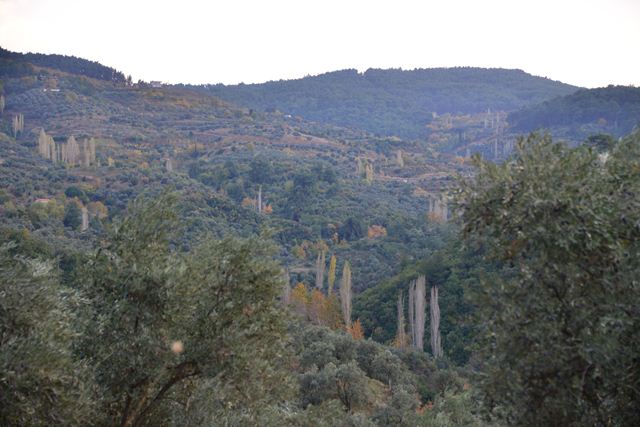 Kıyamet "bereket" getirdi