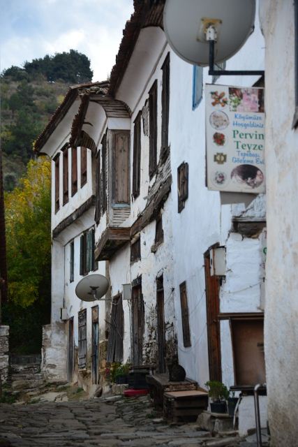 Kıyamet "bereket" getirdi