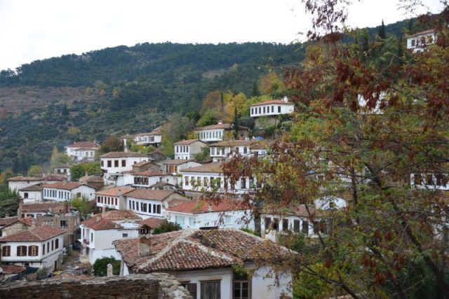 Kıyamet "bereket" getirdi