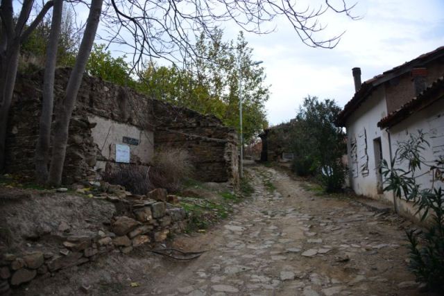 Kıyamet "bereket" getirdi