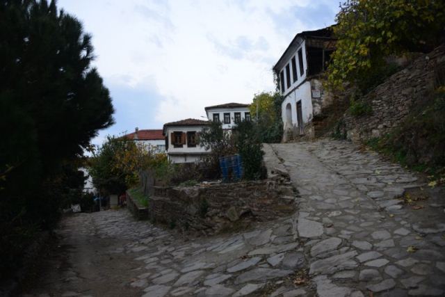 Kıyamet "bereket" getirdi