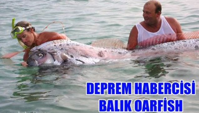 Bu balığı gören deprem alarmı veriyor!