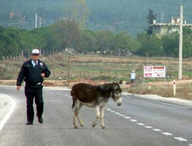 İlginç ve güldüren kareler