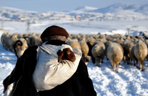 AA yılın fotoğrafını seçiyor