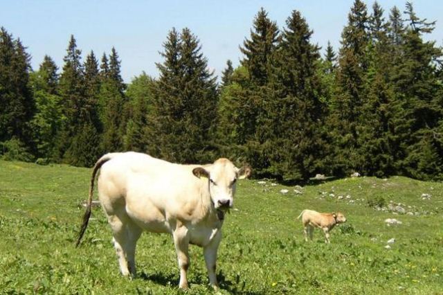 Bunları duyunca çok şaşıracaksınız!