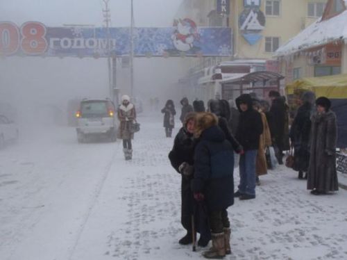 Eksi 66 derecede hayat