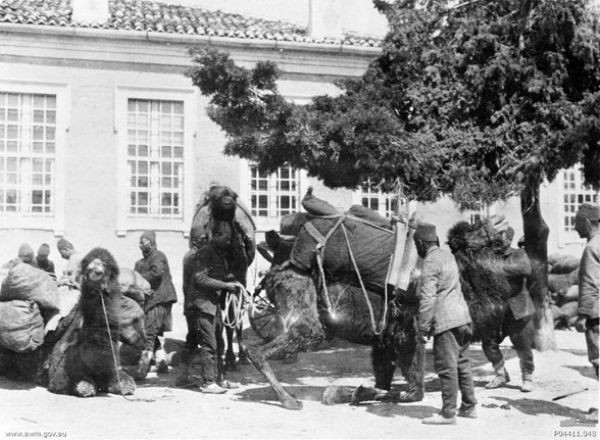 Çanakkale'den gizli kalmış fotoğraflar