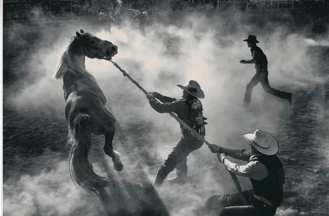 Smithsonian Fotoğraf Yarışması