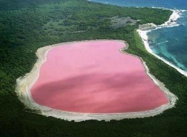 Pembe göl hiç gördünüz mü ?