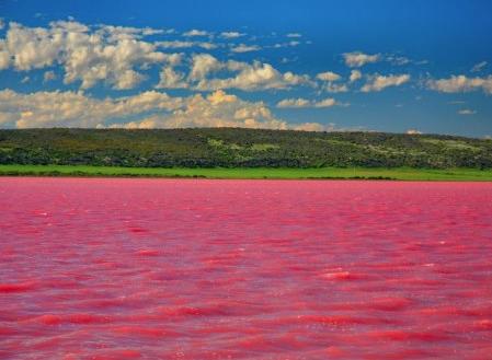 Pembe göl hiç gördünüz mü ?