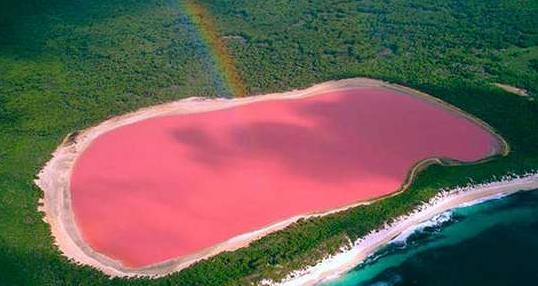 Pembe göl hiç gördünüz mü ?