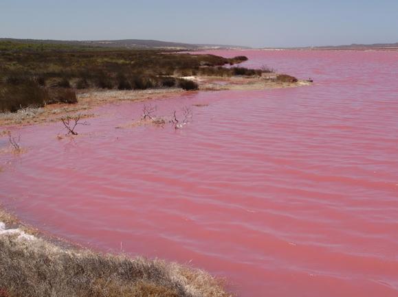 Pembe göl hiç gördünüz mü ?