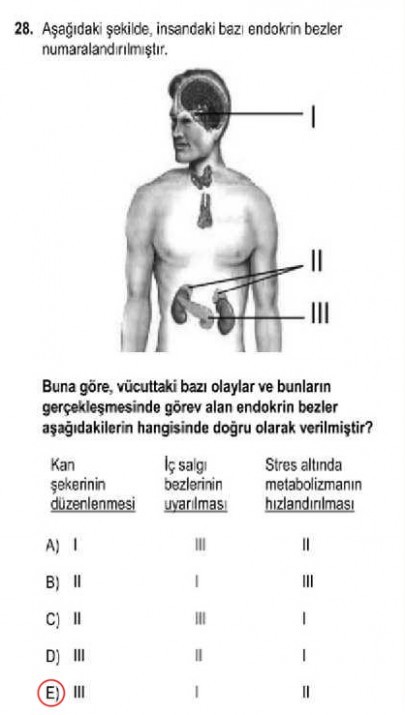 YGS 2013 soru ve cevapları