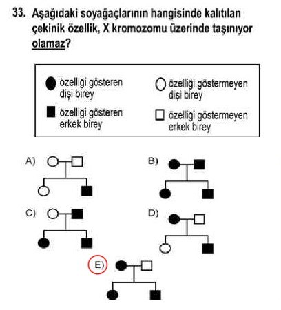 YGS 2013 soru ve cevapları