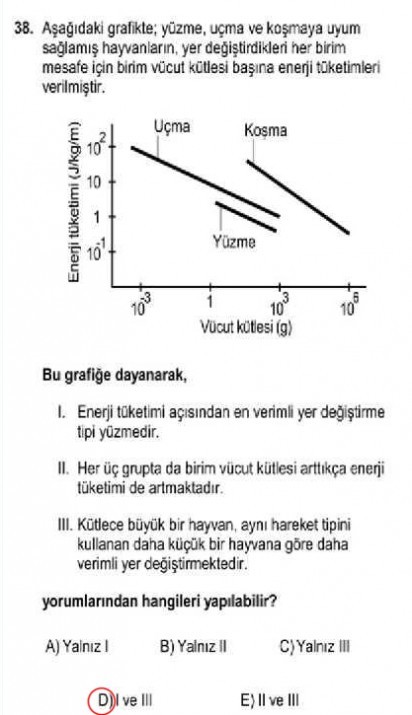 YGS 2013 soru ve cevapları