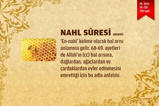 Sûre isimlerinin manalarını biliyor musunuz?