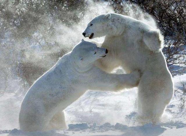 Bu fotoğraflara çok şaşıracaksınız!