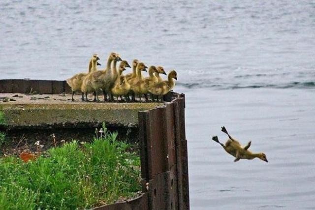 Bu fotoğraflara çok şaşıracaksınız!