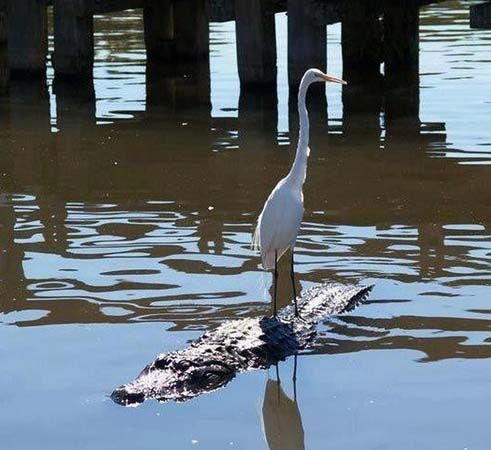 Bu fotoğraflara çok şaşıracaksınız!