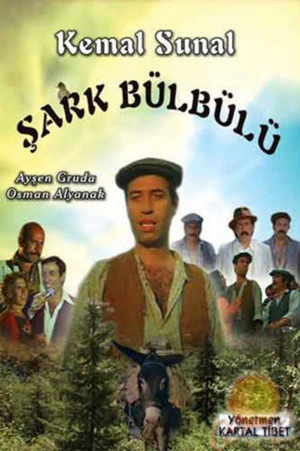 Yeşilçam'ın unutulmayan film afişleri