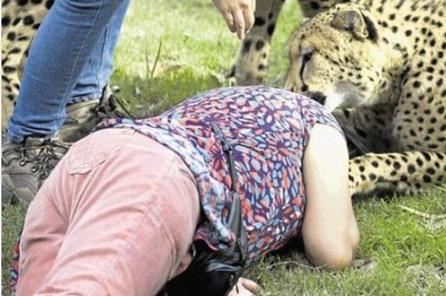 Karısı parçalanırken o sadece fotoğrafını çekti