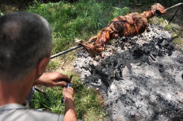 1 Mayıs Piknik Bayramı