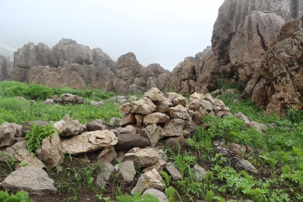 İşte PKK'lıların geride bıraktıkları