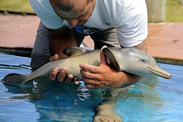 İçinizi ısıtacak bebek hayvanlar