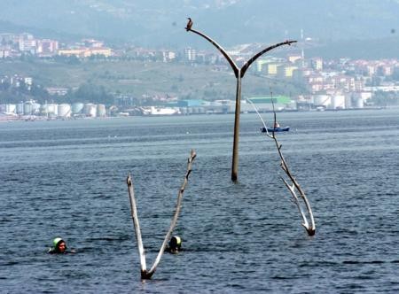 Depremden dehşete düşüren kareler!