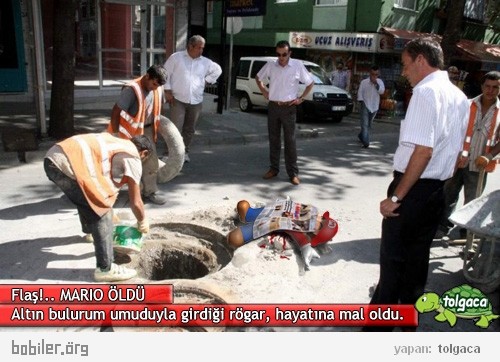 Türk olsalardı böyle mi olurdu!