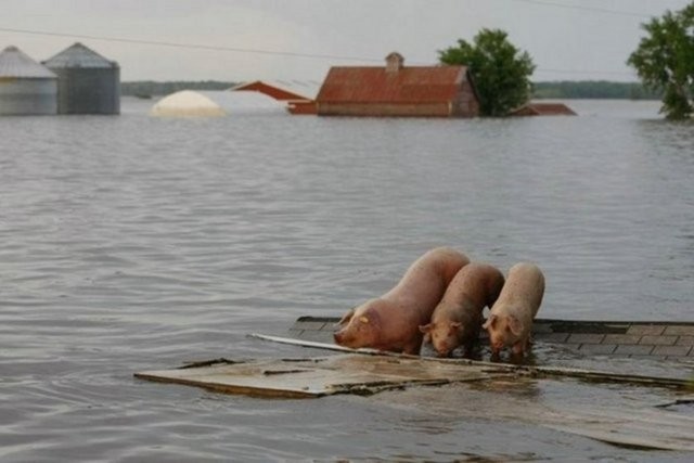 O pozdan sonra olanlar oldu!