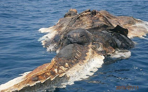 Dünyanın merak ettiği yaratık