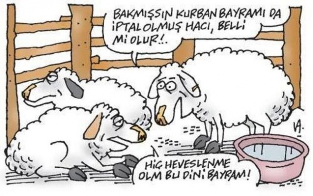 Kurban Bayramı karikatürleri kırdı geçirdi!