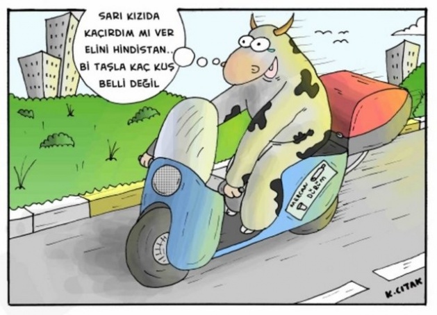 Kurban Bayramı karikatürleri kırdı geçirdi!