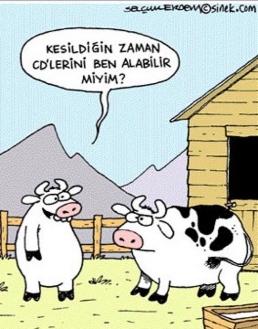 Kurban Bayramı karikatürleri kırdı geçirdi!