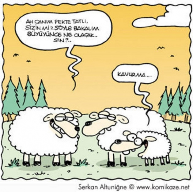 Kurban Bayramı karikatürleri kırdı geçirdi!