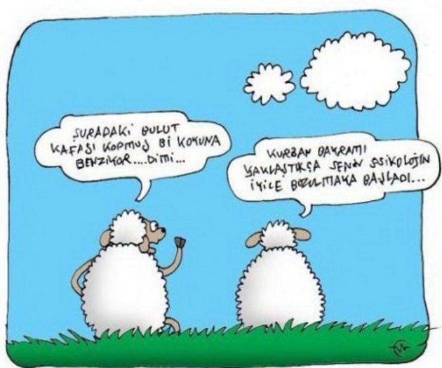 Kurban Bayramı karikatürleri kırdı geçirdi!