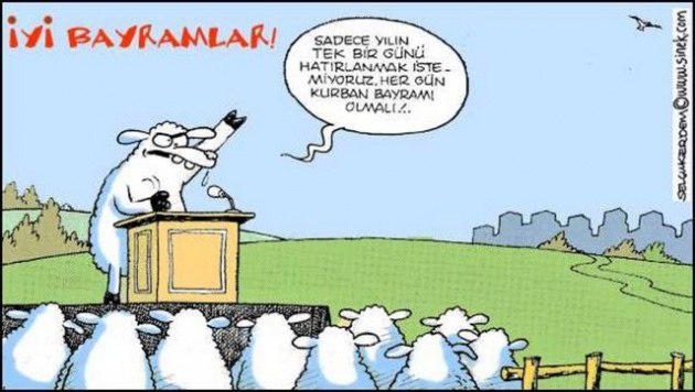 Kurban Bayramı karikatürleri kırdı geçirdi!