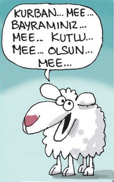 Kurban Bayramı karikatürleri kırdı geçirdi!