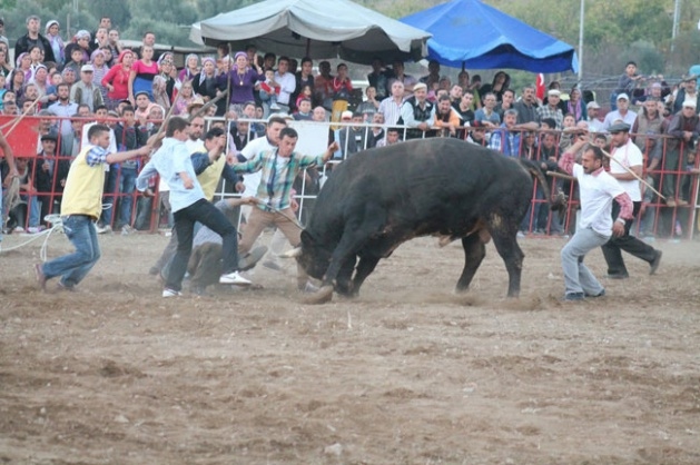 Burasi İspanya değil, peki neresi?