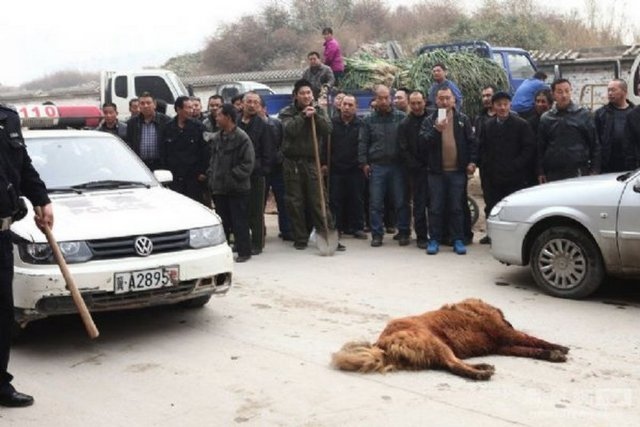 Böyle vicdansızlık olmaz!