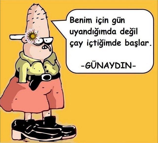 Son fenomen Baaddin