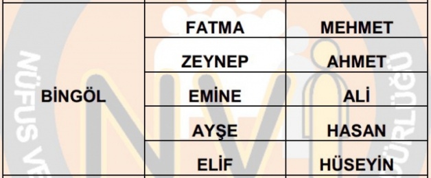 İllere göre en çok kullanılan isimler