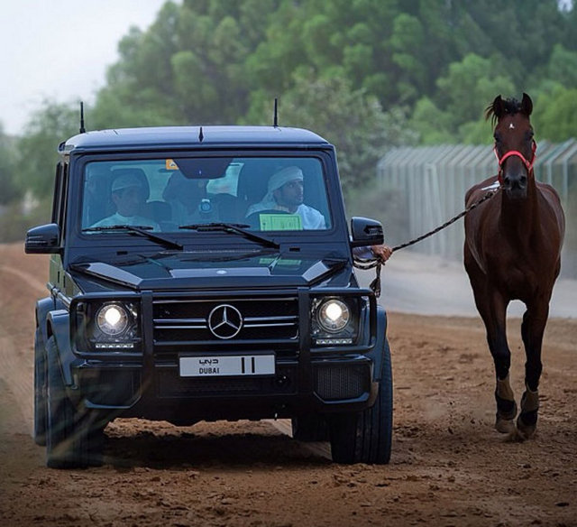 Dubai Prensi'nin çılgın fotoğrafları