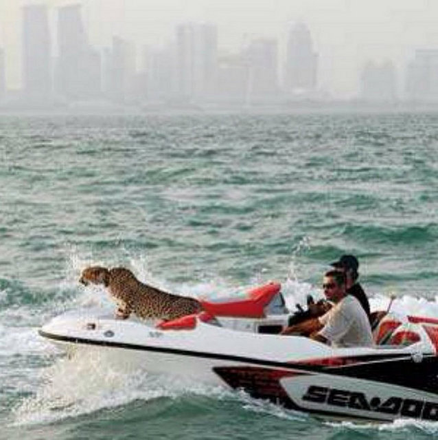 Dubai Prensi'nin çılgın fotoğrafları