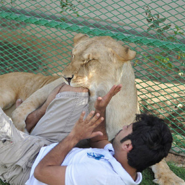 Dubai Prensi'nin çılgın fotoğrafları